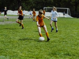0DIA 1988 RAVA B1